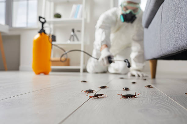 Post-Treatment Bed Bug Interceptor Monitoring in Minnetrista