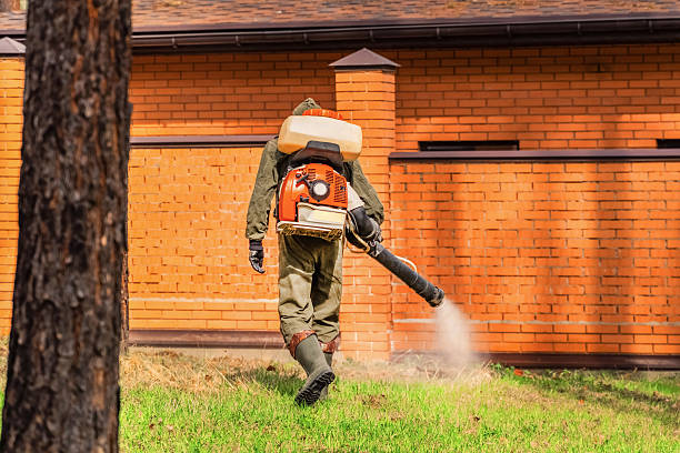 Bed Bug Clearance Verification and Documentation in Minnetrista